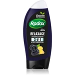 Radox Men Feel Wild sprchový gel na obličej, tělo a vlasy pro muže Blackberry & Ginger 225 ml