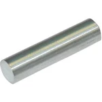 Permanentní magnet tyčový StandexMeder Electronics 4003004003, (Ø x d) 4 mm x 19 mm, AlNiCo