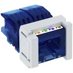 Připojovací jednotka OBO Bettermann 6117349 1 ks CAT 6