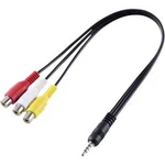 AV audio, video adaptér SpeaKa Professional SP-8433716, černá