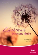 Záchrana ztracené duše - Sandra Ingermanová - e-kniha