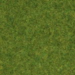 NOCH 08314 posypová tráva okrasná tráva trávniková zelená