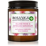 Air Wick Botanica Island Rose & African Geranium vonná sviečka s vôňou ruží 205 g