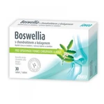 FAVEA Boswellia s chondroitinem a kolagenem 30 tablet