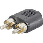 SpeaKa Professional SP-7869756  cinch / jack audio Y adaptér [2x cinch zástrčka - 1x jack zásuvka 3,5 mm] čierna