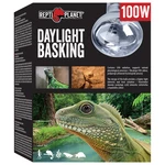 Repti Planet žárovka Daylight Basking Spot 100W
