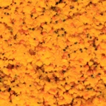 LK Baits IQ Method Feeder Turbo Mix Spicy Peach 1,5kg
