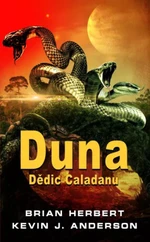 Duna: Dědic Caladanu - Kevin James Anderson, Brian Herbert