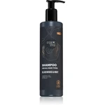 Organic Shop Men Blackwood & Mint šampon pro muže 280 ml