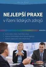 Nejlepší praxe v řízení lidských zdrojů - Martin Šikýř - e-kniha