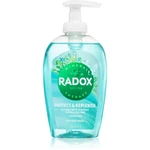 Radox Protect + Replenish tekuté mýdlo na ruce 250 ml