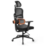 [Standard Version] NEWTRAL Ergonomic Office Chair High Back Desk Chair with Unique Adjustable Lumbar Support, Adjustable