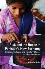 Risk and the Rupee in Pakistan's New Economy