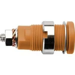 Bezpečnostní vestavná zásuvka 4 mm Schützinger DI SEB 6445 Ni / OR, oranžová, 1 ks