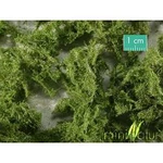 Mininatur Podlahový plošník jedlově zelená 993-22