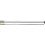 BRUSNÉ tělísko PFERD 36106010 Průměr 6 mm