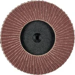 Vějířovitý brusný kotouč PFERD CDR PFF 75 A 120 47202532, Ø 75 mm/