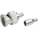 BNC zástrčka, rovná Telegärtner J01002A0036, 75 Ω, 1 ks