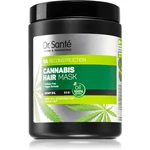 Dr. Santé Cannabis regeneračná maska  pre poškodené vlasy 1000 ml