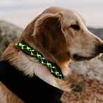 LED Dog Pet Collar Flashing Luminous Safety Night Light Flashing Adjustable