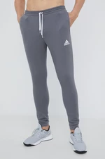 Tepláky adidas Performance H57531 pánske, šedá farba, s nášivkou