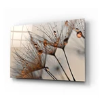 Sklenený obraz Insigne Cinnamon Dandelion, 72 x 46 cm