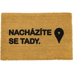 Rohožka z prírodného kokosového vlákna Artsy Doormats Tady, 40 x 60 cm
