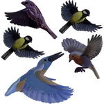 Gardigo Stickers Native Birds nálepka do okna s obrazom vtáka odstrašenie  1 ks