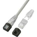 TRU COMPONENTS RJ45 Konektor RJ45, priehľadný 749224 zástrčka, rovná    priehľadná 1 ks