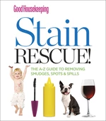 Stain Rescue!