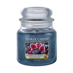 Yankee Candle Mulberry & Fig Delight 411 g vonná svíčka unisex Yankee Candle Mulberry & Fig Delight 411 g vonná svíčka unisex