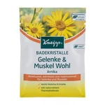 Kneipp Joint & Muscle Arnica 60 g koupelová sůl unisex