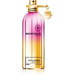 Montale Aoud Jasmine parfumovaná voda unisex 100 ml