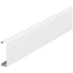 Montážní příslušenství (d x š) 2000 mm x 50 mm OBO Bettermann 6279880 1 ks čistě bílá