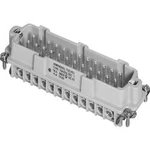 Vložka pinového konektoru Heavy|mate® C146 Amphenol C146 10A024 002 1-1, počet kontaktů 24 + PE, 1 ks