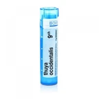 BOIRON Thuya Occidentalis CH9 4 g