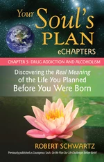 Your Soul's Plan eChapters - Chapter 5