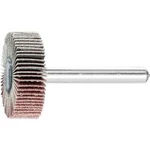 Vějířová bruska NA KŮŇ PFERD 44402186 Průměr 30 mm