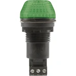 Auer Signalgeräte signalizačné osvetlenie LED IBS 800506405 zelená zelená trvalé svetlo, blikajúce 24 V/DC, 24 V/AC