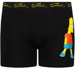 Boxer da uomo Character Simpsons 1P