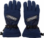Spyder Mens Overweb GTX Ski Gloves True Navy M Mănuși schi