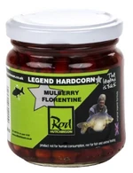 RH dipovaný partikl Legend Particles Tigernuts Mulberry Florentine