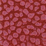 Barva Pébéo Fantasy Prisme 45ml – 22 Antique pink