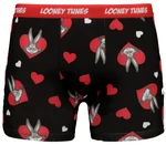 Men's boxer shorts Looney Tunes 1P - Frogies