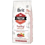 Brit Fresh Beef & Pumpkin Puppy Large Bones & Joints 12 kg | Granule pre psov