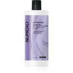 Brelil Professional Smoothing Shampoo uhlazující šampon pro nepoddajné vlasy 1000 ml