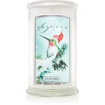 Kringle Candle Snowbird vonná sviečka 624 g
