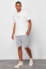Trendyol Navy Striped Regular/Regular Fit Shorts
