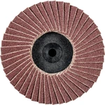 PFERD 47202529 Klapkový kotúč PFERD Priemer 50 mm   10 ks