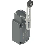 Pizzato Elettrica FD 556-M2 koncový spínač 250 V/AC 6 A hydraulické zdvíhadlo  bez aretácie IP67 1 ks